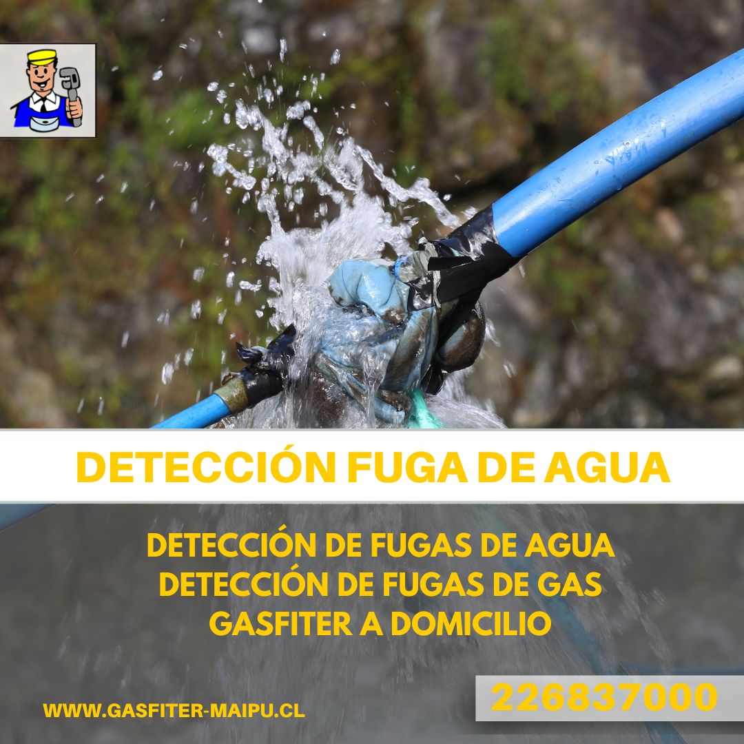 Servicios avanzados para la detección de fugas de agua